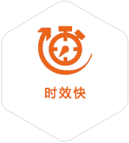 洞头到克罗地亚物流公司